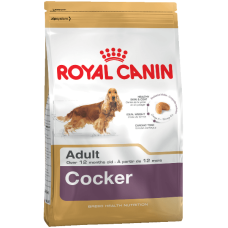 Cocker Royal Canin